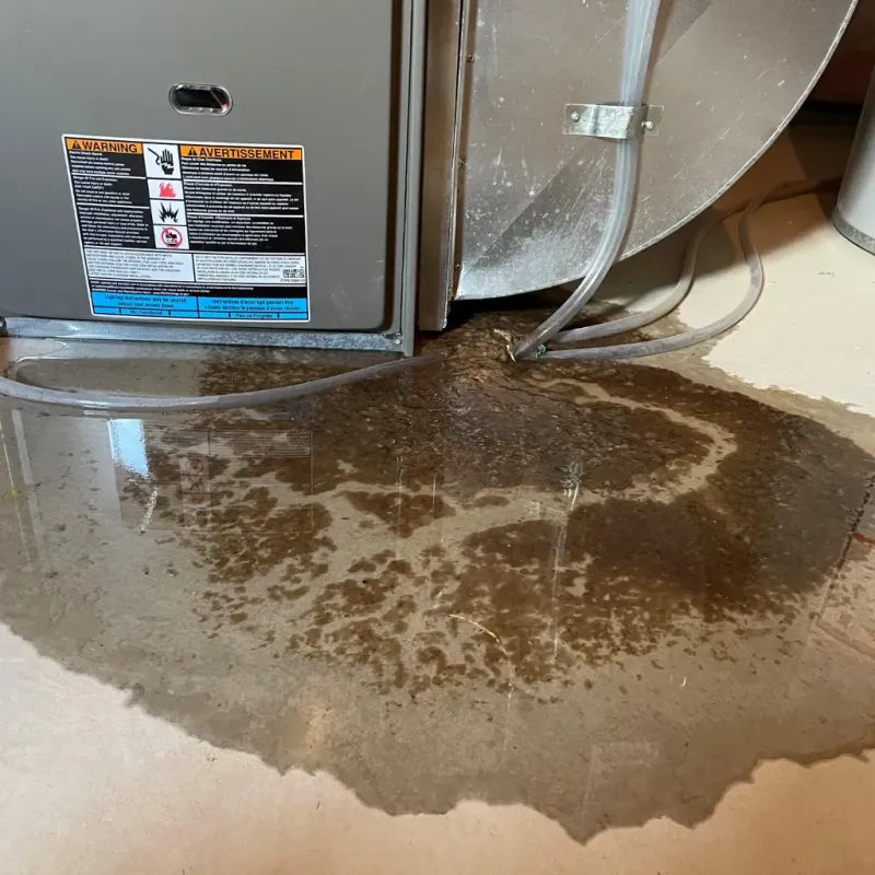 Appliance Leak Cleanup in Perryton, TX