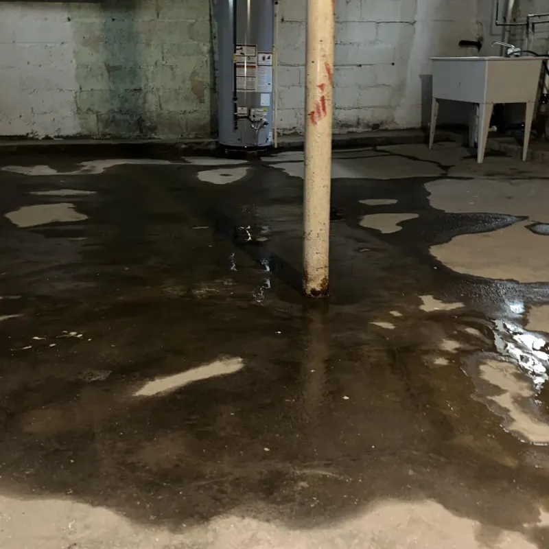 Emergency Water Extraction And Removal in Perryton, TX